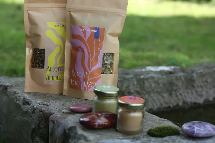 Tisane Boost ton hiver