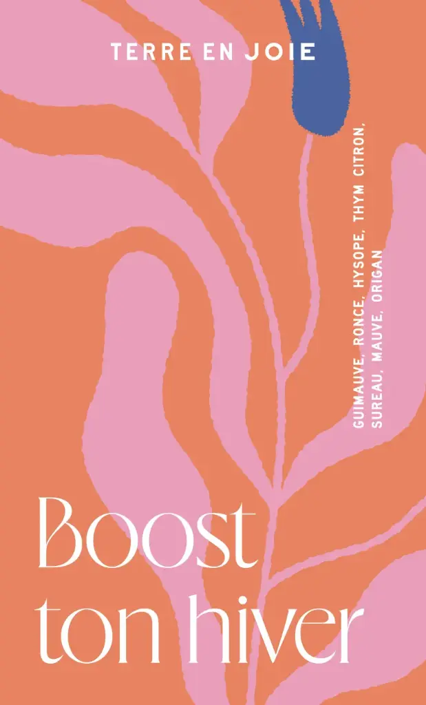 Tisane Boost ton hiver