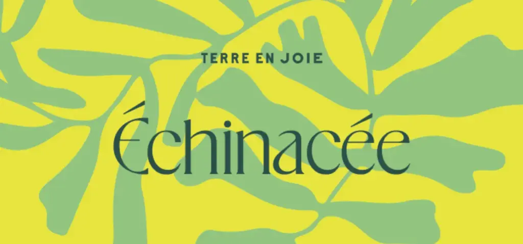 Alcoolature d' Echinacée