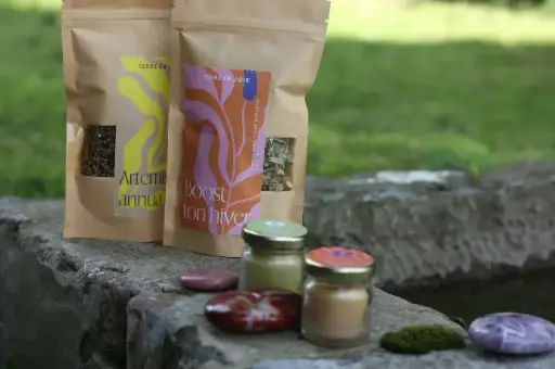 Tisane Boost ton hiver