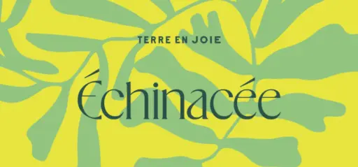 Alcoolature d' Echinacée